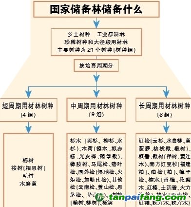 國家儲備林，儲備我們的未來