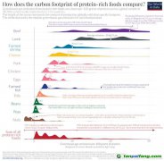 【數(shù)據(jù)】蛋白質(zhì)的碳足跡：什么食品的溫室氣體排放最少？