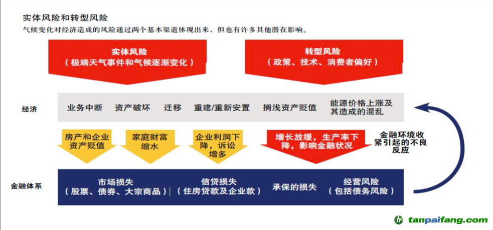 圖3 來源：國(guó)際貨幣基金組織（IMF）