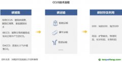 2022 年中國碳捕集、利用與封存（CCUS）洞察報(bào)告