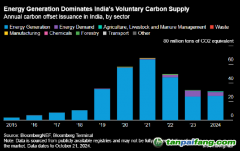 報告：印度碳市場面臨未使用能源碳信用過剩的風險
