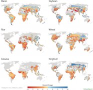 氣候變化將威脅主糧作物產(chǎn)量僅水稻可能幸免