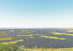 內(nèi)蒙古：逐綠而行 促進碳市場高質(zhì)量發(fā)展